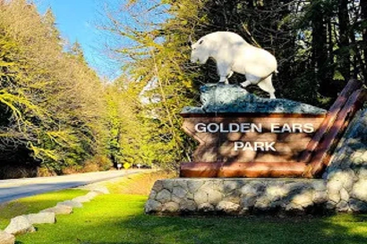 Golden ear provential park @Globalduniya 