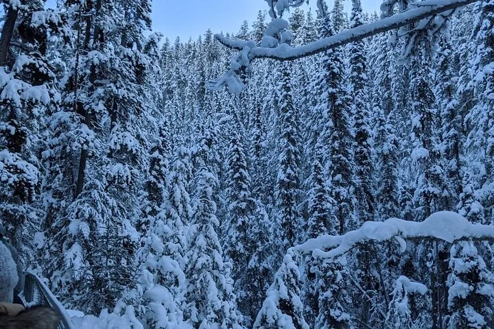 Vancouver to Banff 4 Days Rockies Lake Louise Snow adventure Tour Private @ Globalduniya