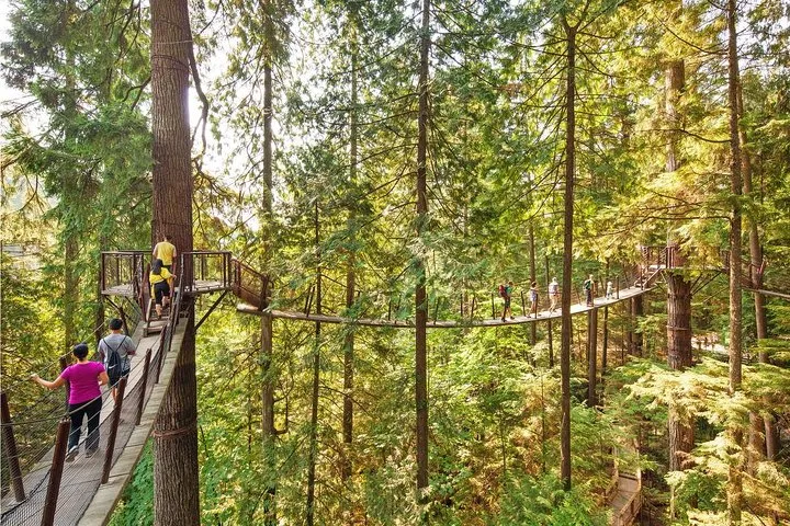 Best of Vancouver Highlights /Suspension Bridge/ Free Pizza Party Tour Private @ Globalduniya