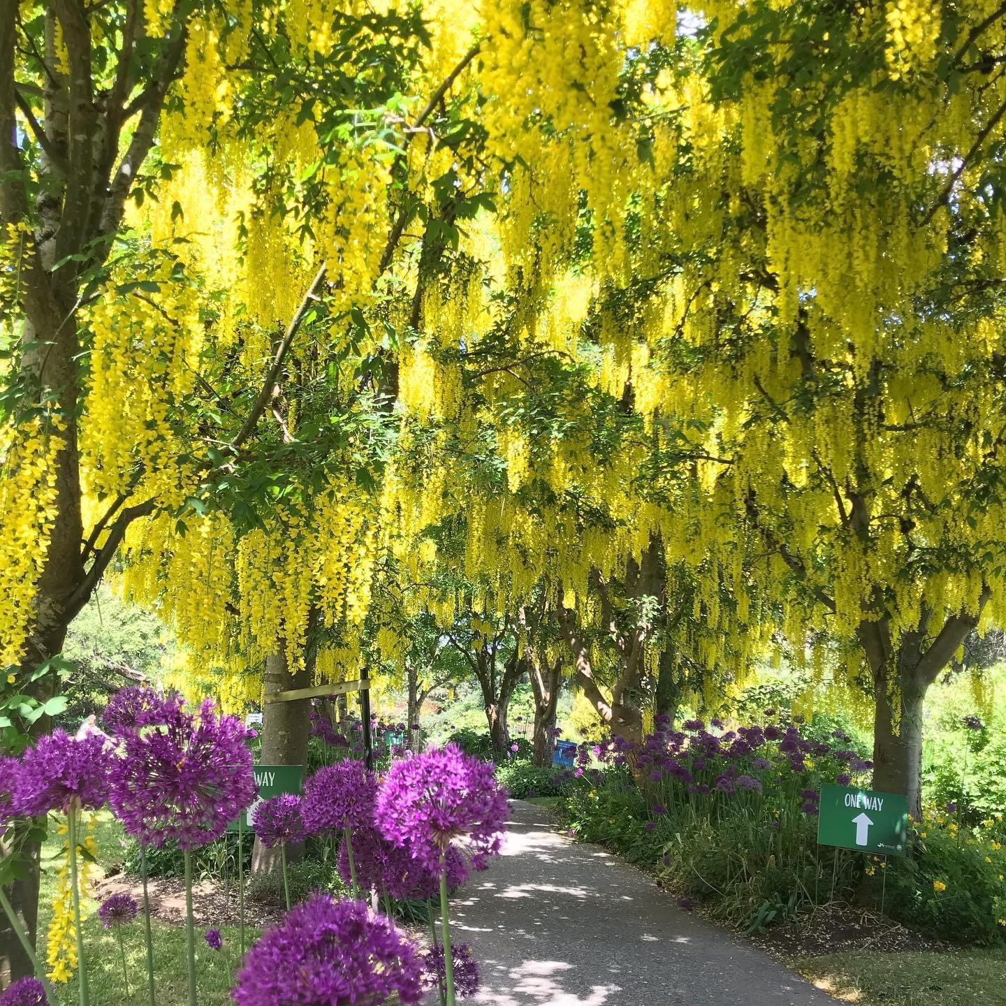 Vandusen Botinical Garden @Globalduniya