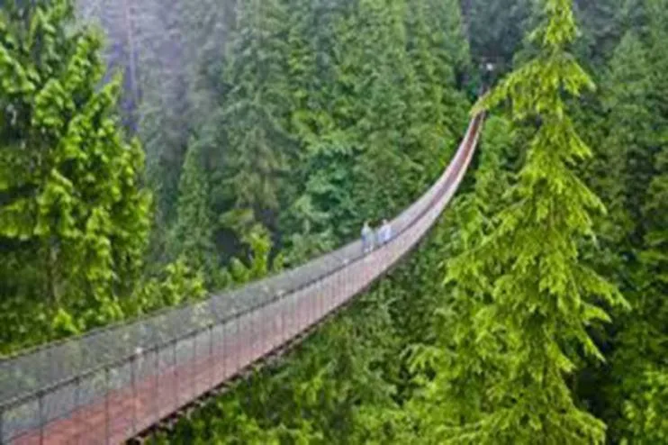 Capilano Suspension bridge,Vancouver day tours Globalduniya 
