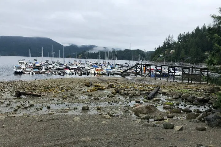 Kayaking Vancouver Tour @ Globalduniya