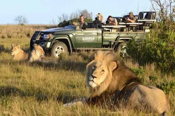 Exotic South Africa@Globalduniya