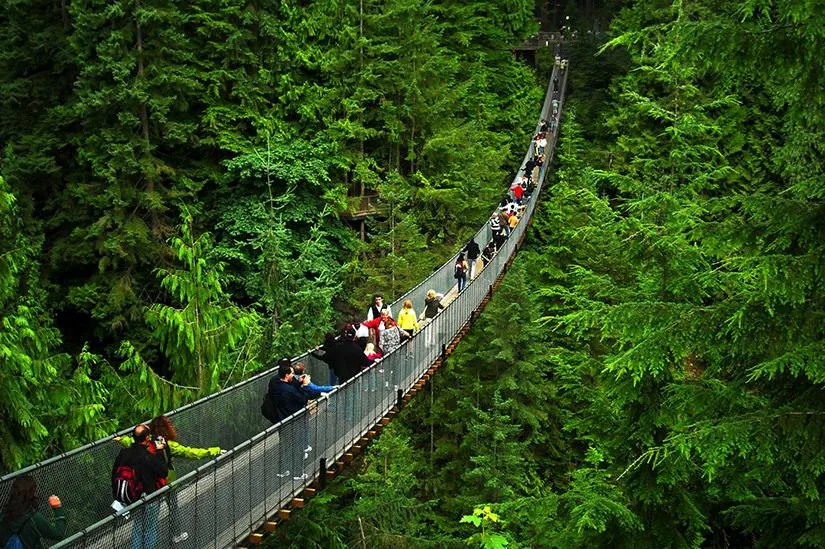 Private Vancouver Day Trip | Grouse Mountain & Capilano Suspension Bridge Globalduniya