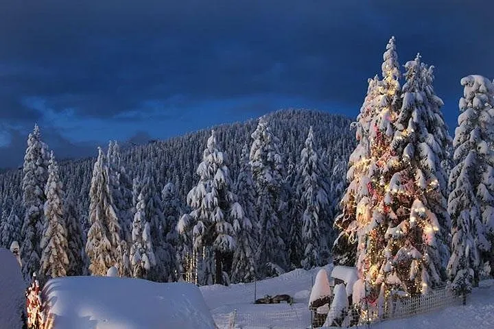 Vancouver Winter fun Mountain adventure {Grouse, Cypress, symore)Tour Private @ Globalduniya