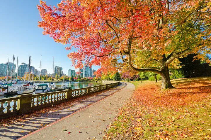 Stanley park-Vancouver city tour ,Globalduniya